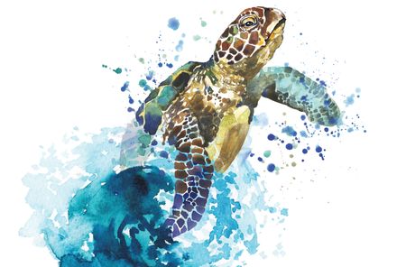 Ocean gyres reveal an astounding story of the mysterious travels of sea turtles