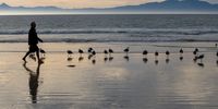 Autumn morning on Fish Hoek beach.<br>