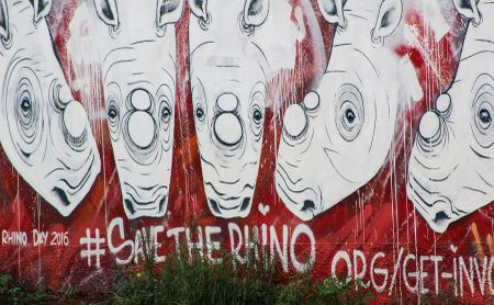 R10m windfall for African conservation after Australian ‘rhino rescue’ plan folds up