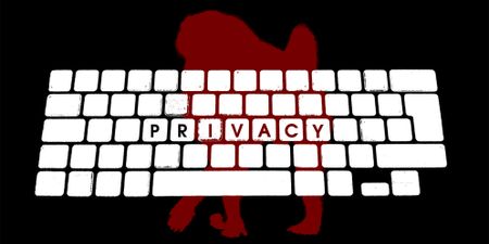 After the Bell: What is the connection between baboons and your right to privacy?