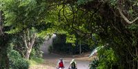 Take a ride. Photographer: Benine du Toit