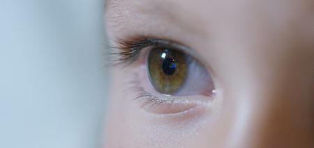 Education is not the solution; it’s the problem