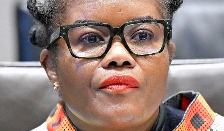 Did the Seta panel exist? Nkabane under fire as senior officials deny role in appointments