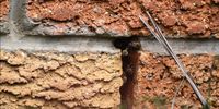  Bees making a nest, my house</p>
<p>