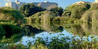 Gorgeous Greenpoint Park. Photographer: Janice Ashby