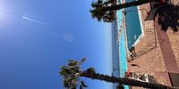 Seapoint Summer. Image: Philippa Dresner 