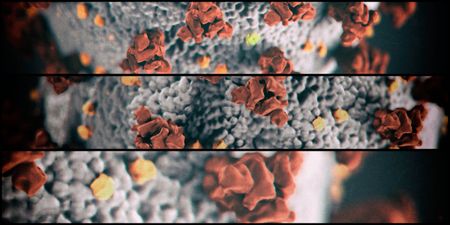 Will Africa’s economies buckle under the Coronavirus?