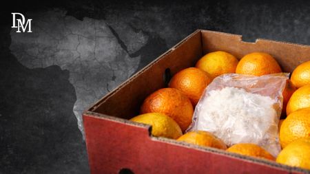 Watch — Suspicions circle SA over R4.3bn drug haul hidden in fruit export to India