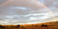 Karoo splendour, 25 March 2021