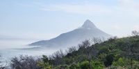 Misty morning. Photographer: Dalene Morris <br>