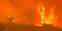 MILFORD, CALIFORNIA - AUGUST 17: The Dixie Fire burns along Highway 395 as it moves through the area on August 17, 2021 near Milford, California. The Dixie Fire has burned more than 604,000 acres, destroyed more than 1,000 homes and threatens thousands more. The fire, the largest single fire in California state history, is 31 percent contained. (Photo by Justin Sullivan/Getty Images)