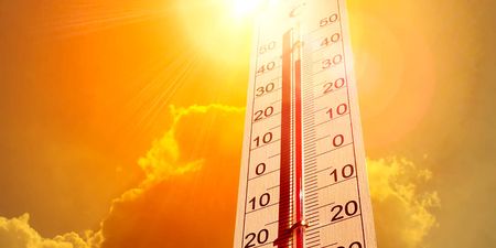 Has Joburg skipped spring? Scientists explain why it feels like winter turned straight into summer