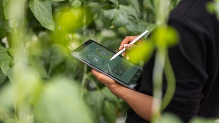 JSE ESG standards lift the game for SA companies