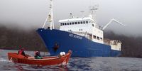 The Geo Searcher, which sank last week near Gough Island. (Photo: https://www.tristandc.com/)