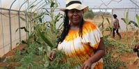 Small-scale farmer Siphiwe Sithole grows indigenous crops and also stores indigenous seeds for future use. (Photo: African Marmalade)