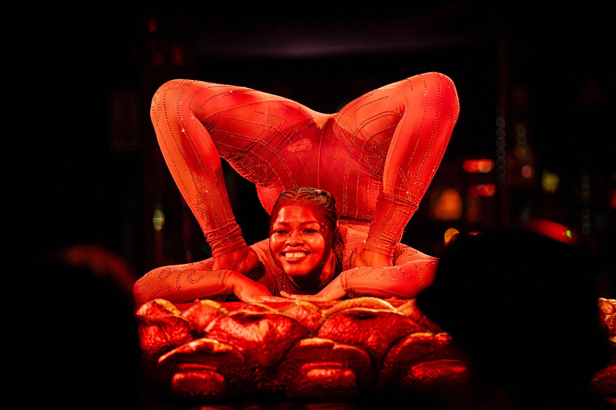 The magic of La Dolce Royal: a circus of unity and hope