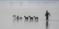 Photo Essay-InPictures26