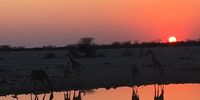 Reflections at sunset. Photographer: Delia Ferguson