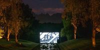 Serge Nitegeka’s ‘Black Subjects’ features at Spier Light Art in 2023. Image: Spier Light Art