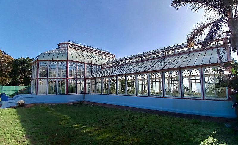 Behind the fence: How Gqeberha’s Pearson Conservatory is being kept alive