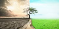 We cannot secure our food future without restoring the natural systems that sustain it