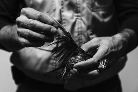 'A better future for all' – 2021 Student Photography Competition