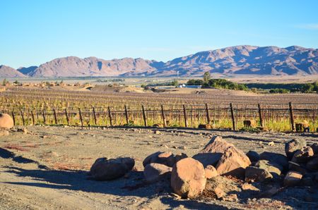 How alike is land reform in Namibia and South Africa?