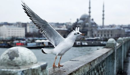 Letter from Istanbul: Life in the time of Erdogan