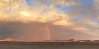 Rain in the Namibia. Photographer: Judy Craxton