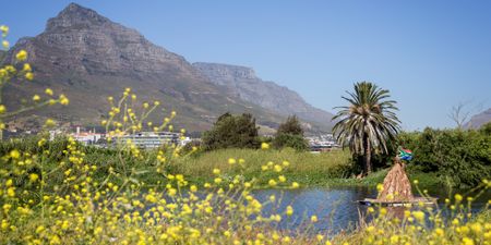 Amazon in Africa: A walk through history in the Two Rivers Urban Park