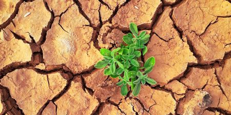 Earth Day — A case for traditional knowledge to mitigate the planetary crisis