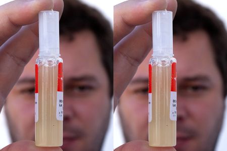 Snake antivenom shortages — why this struggle happens in SA