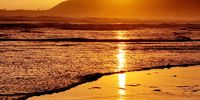 Moulten Gold, Wild Seas. Image: Barbara Lindop