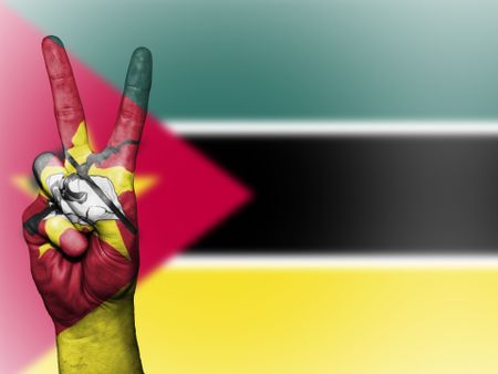 Can the African Union help Mozambique combat terrorism?