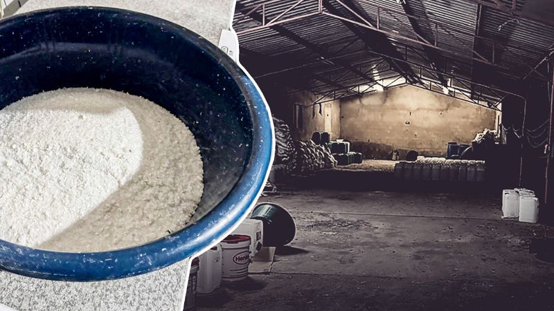 Mexican cartel suspicions around SA âtik farmsâ may connect to Ecuadorâs cocaine gangs