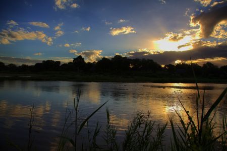 MalaMala: An example of how land restitution can go very wrong