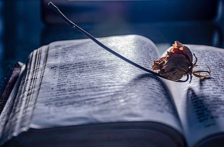 No mere truffle: Looking for the scents of life, describing the indescribable