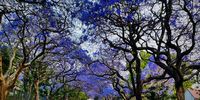 Springtime. Photographer: Jason Fisher