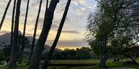 Before sunset in Keurboom Park.