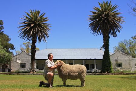 Flocking to a sheep museum in the Karoo