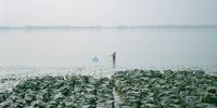 "Living in the Transition pt.6." A woman walking in the water, and catching small fish or shrimps near sandbags soaked in the river. © Shunta Kimura, Japan, Finalist, Professional, Environment, 2022 Sony World Photography Awards