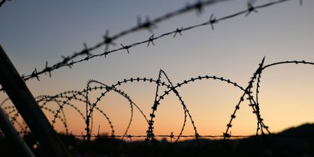 The big fence: Historical divisions plague conservation efforts in South Africa