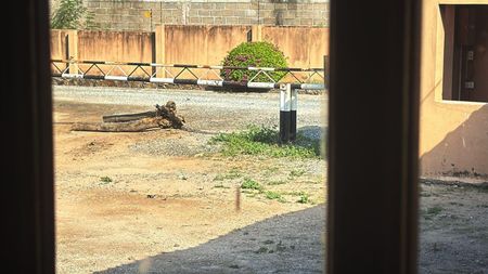 South Africans working for Nsimbi Mining held hostage in Mozambique’s Tete by angry employees