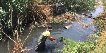 The litter traps and solid waste pollution of the Hennops River – a race against the coming rains