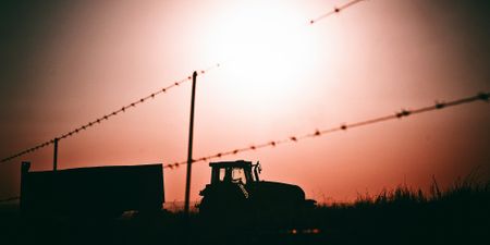 High noon for efforts to save Land Bank from collapse