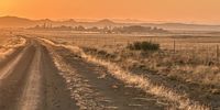 Free State sunrise. Photographer: Simon C Green