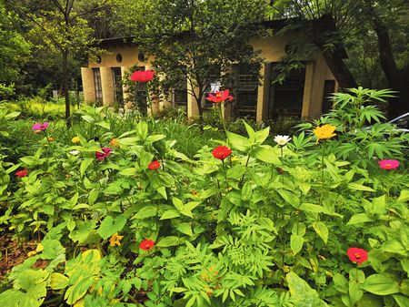 Cultivating hope in a garden that became a symbol of SA's political transformation