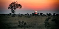 Vultures sit in trees silhouetted against the setting sun near Satara Camp in the Kruger National Park. The Kruger Park was a specific top destination within Mpumalanga, which came sixth overall. (Photo: Gallo Images / Mike Copeland)