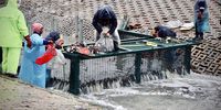 Workers busy clearing the newly installed litter cage along the Soet River in Strand on 03 July 2025. (Photo: Kristin Engel)