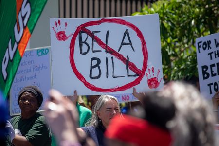 DA rallies against Basic Education Bill adopted by National Assembly